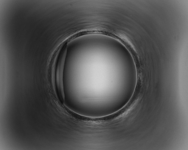 X0000088620781200705251240