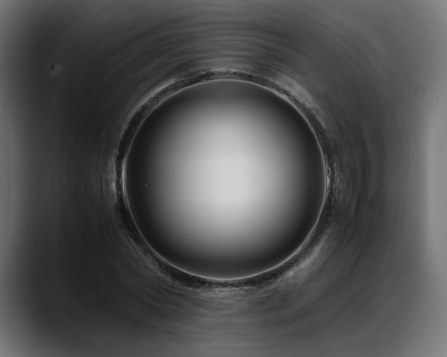 X0000088620782200705251240