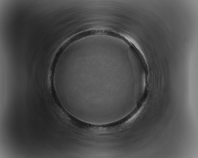X0000088620783200705251240