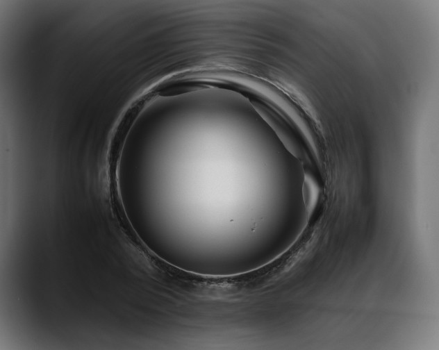 X0000088620784200705251240