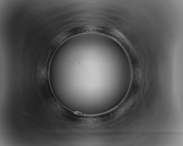 X0000088620785200705251240