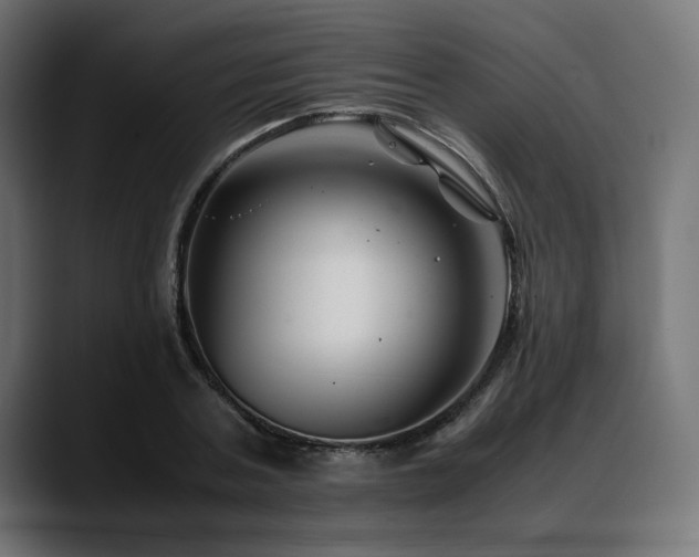X0000088620787200705251240