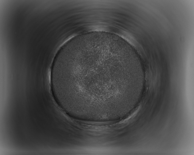 X0000088620790200705251240