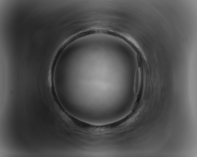X0000088620791200705251240