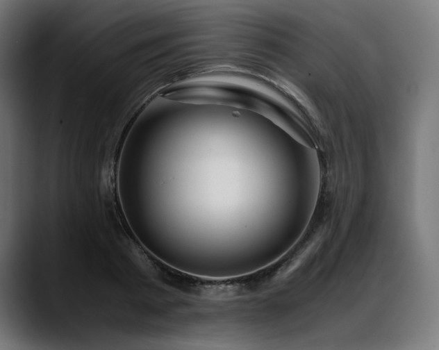X0000088620793200705251240