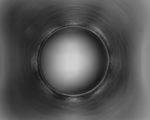 X0000088620794200705251240