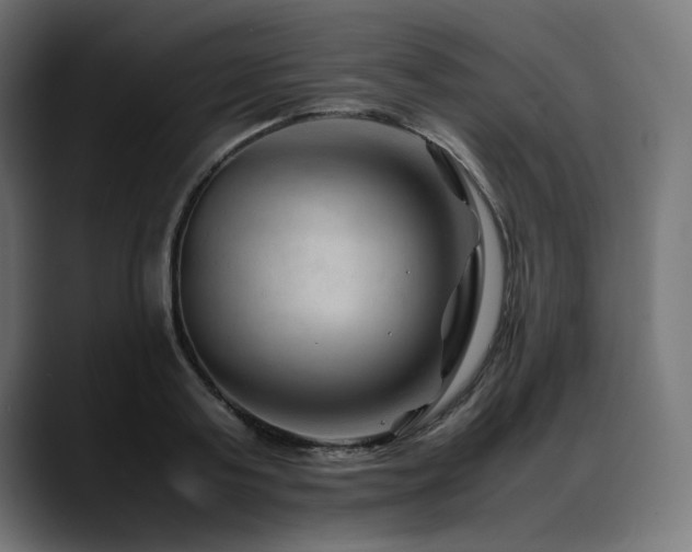 X0000088620795200705251240