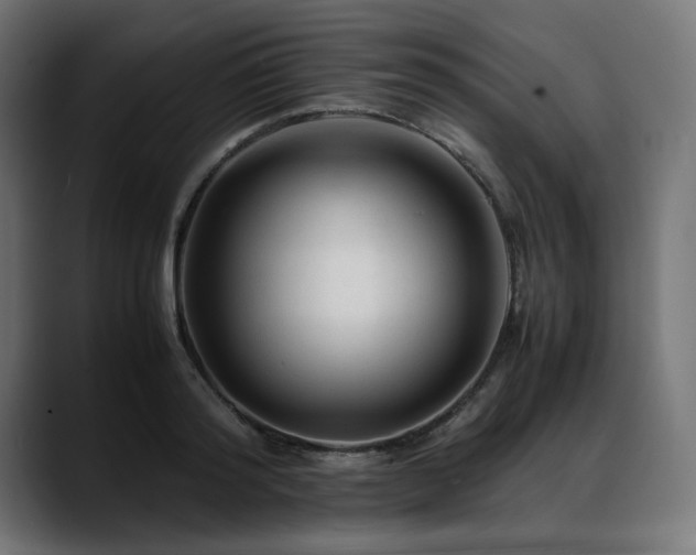 X0000088620796200705251240