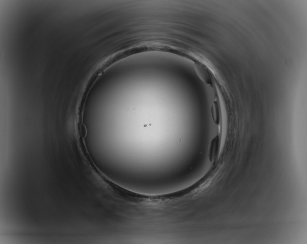 X0000088620799200705251240