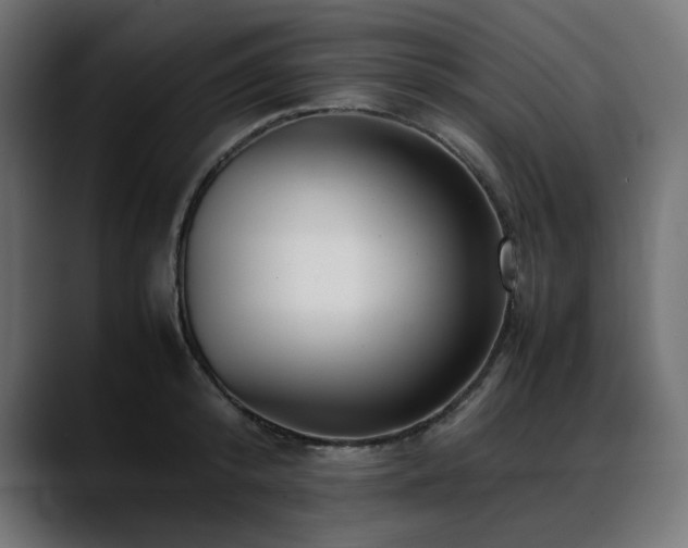 X0000088620800200705251240