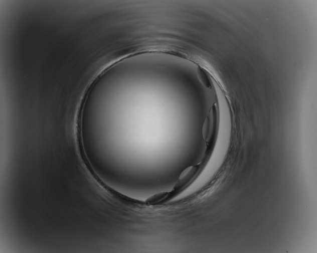 X0000088620803200705251240