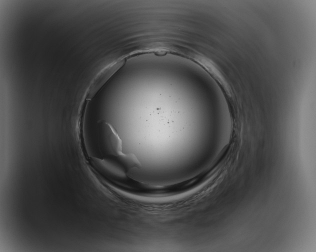 X0000088620805200705251240