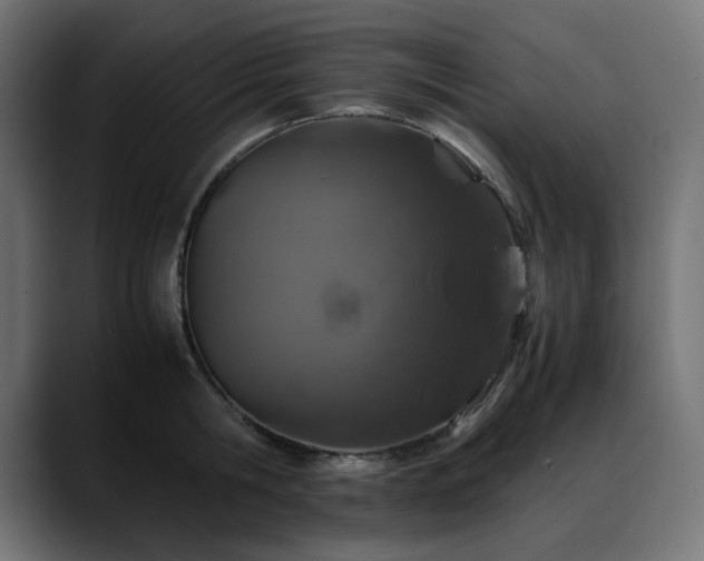 X0000088620806200705251240