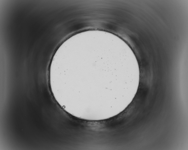 X0000088620807200705251240