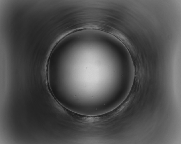 X0000088620808200705251240