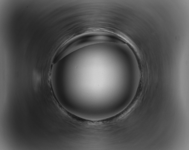 X0000088620809200705251240