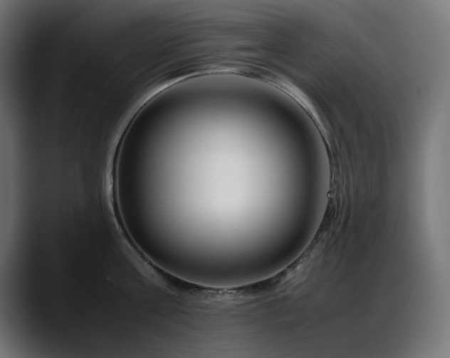 X0000088620811200705251240