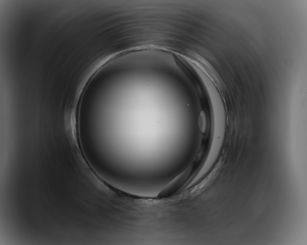 X0000088620812200705251240