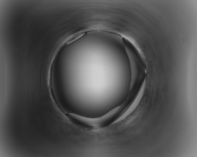 X0000088620815200705251240