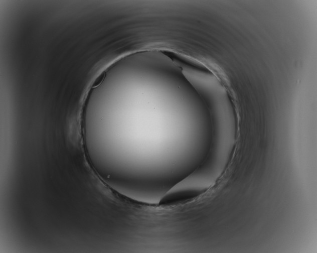 X0000088620816200705251240