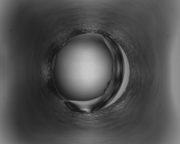 X0000088620818200705251239