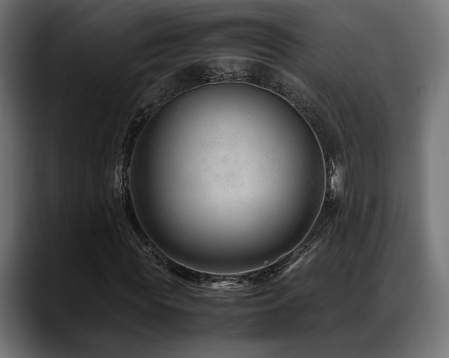 X0000088620819200705251239