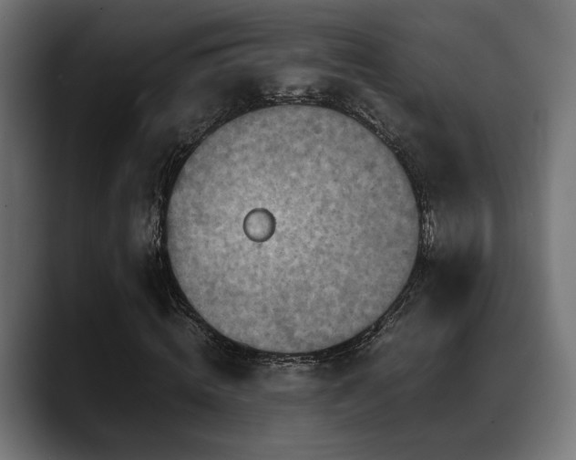 X0000088620820200705251239