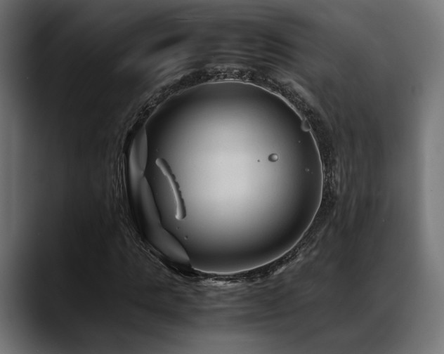X0000088620821200705251239
