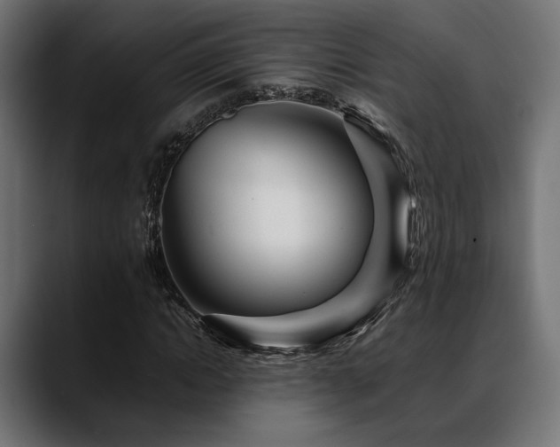 X0000088620822200705251239