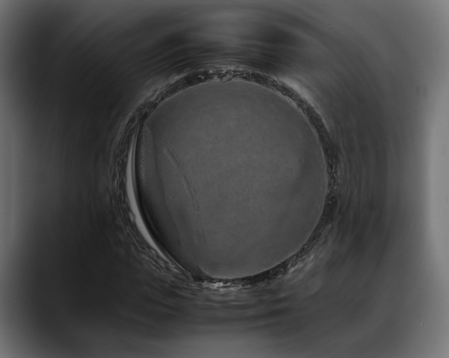 X0000088620823200705251239