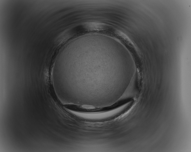X0000088620825200705251239