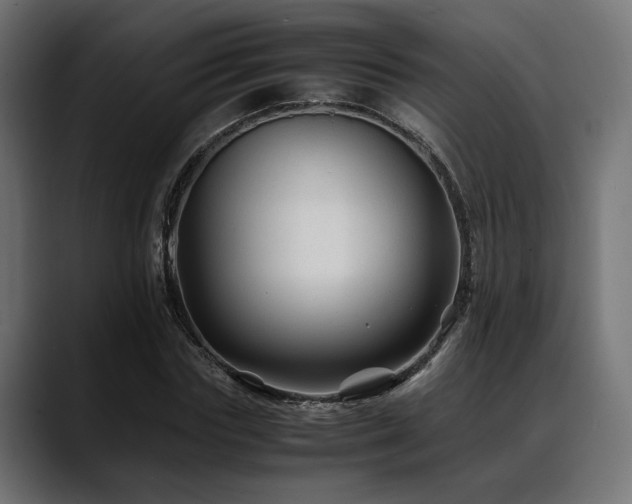 X0000088620827200705251239