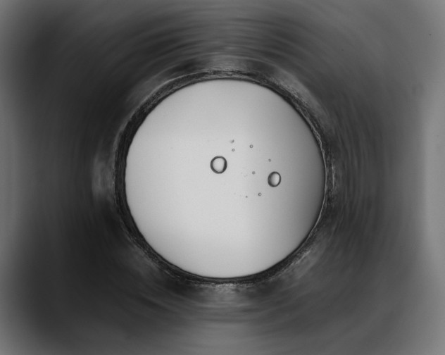 X0000088620828200705251239