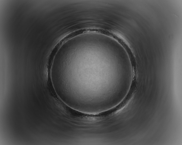 X0000088620829200705251239