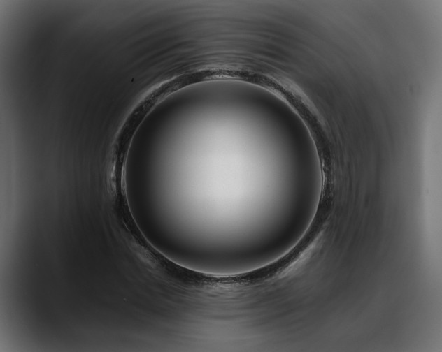 X0000088620830200705251239