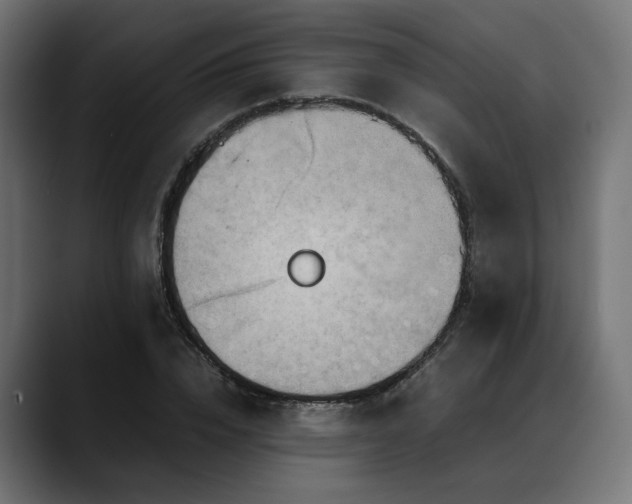 X0000088620832200705251239