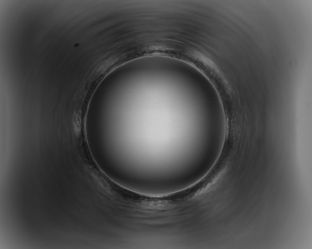 X0000088620833200705251239