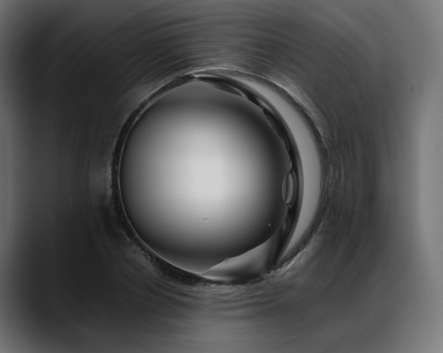 X0000088620834200705251239