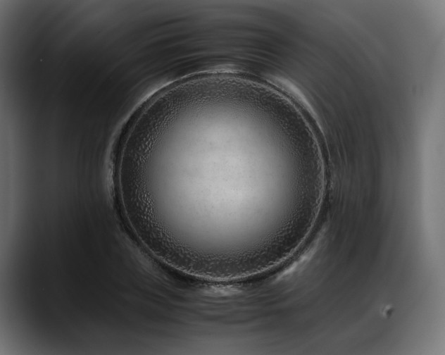 X0000088620835200705251239