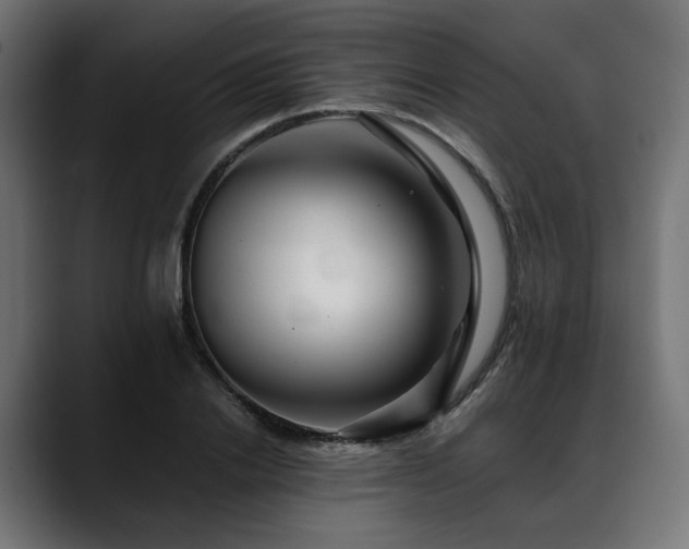 X0000088620838200705251239