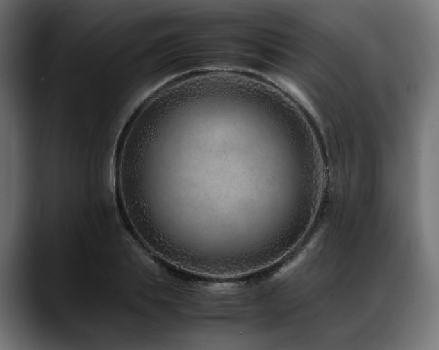 X0000088620839200705251239