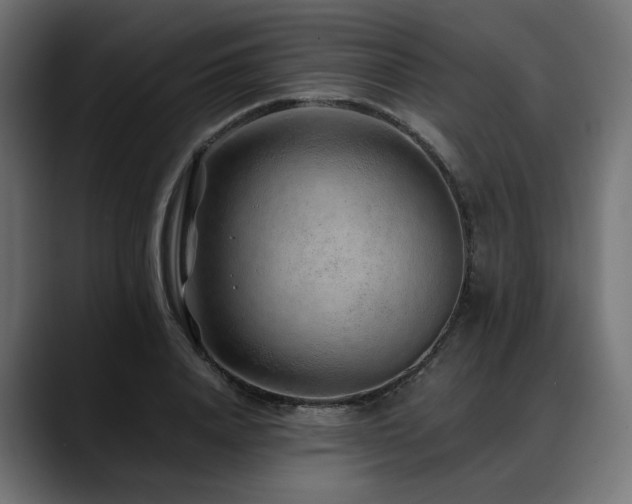 X0000088620840200705251239