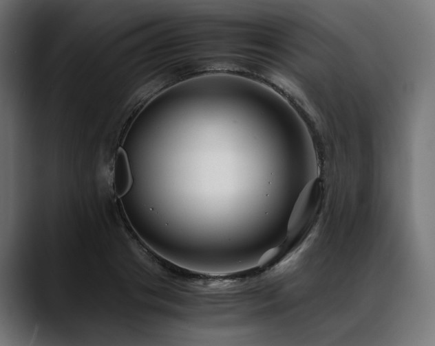 X0000088620841200705251239
