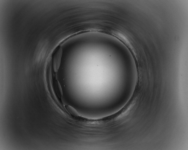 X0000088620843200705251239