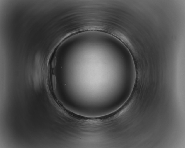 X0000088620844200705251239