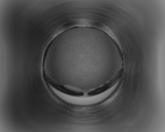X0000088620845200705251239