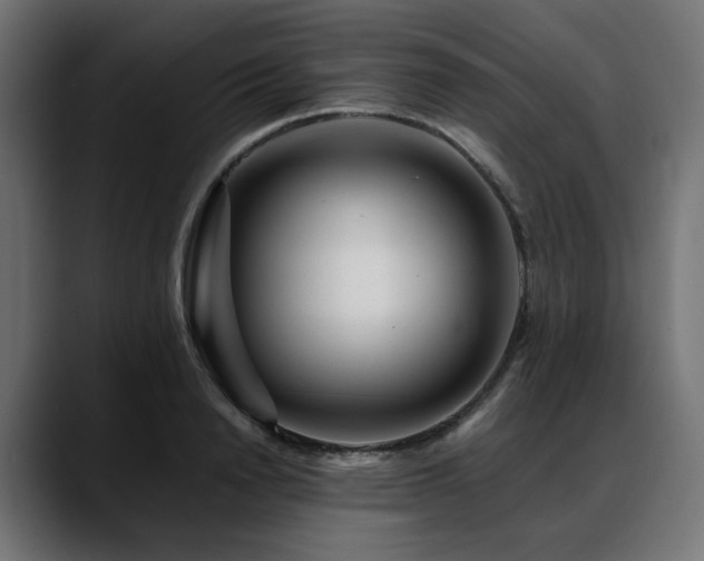 X0000088620846200705251239