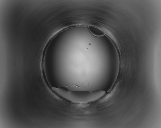 X0000088620847200705251240
