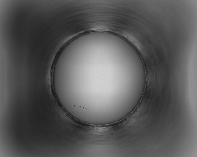X0000088620848200705251240