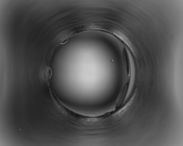X0000088620849200705251240